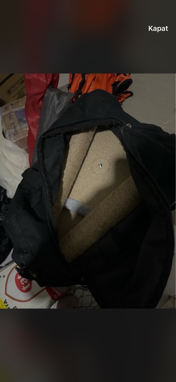 Gri Kedi Tırmanma ve Oyun Evi - Görsel 5