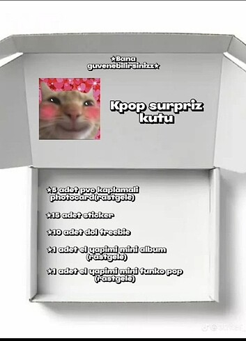 Kpop surpriz kutu