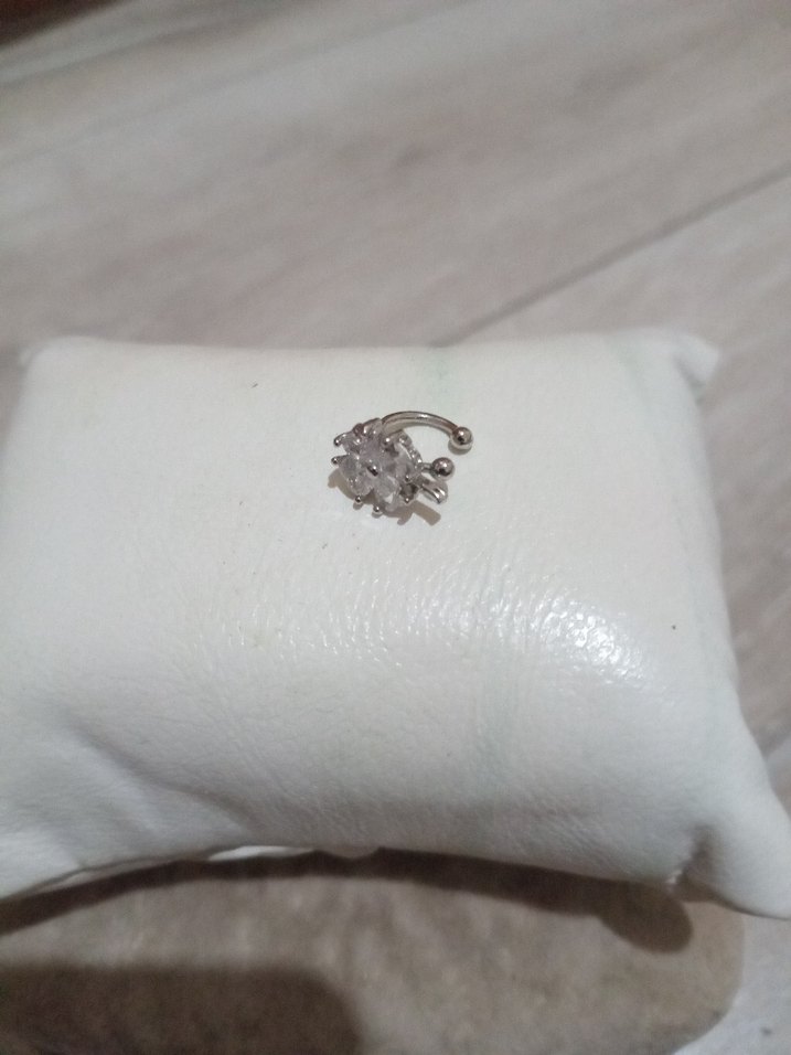 Gümüş Kıkırdak Küpesi - Görsel 2