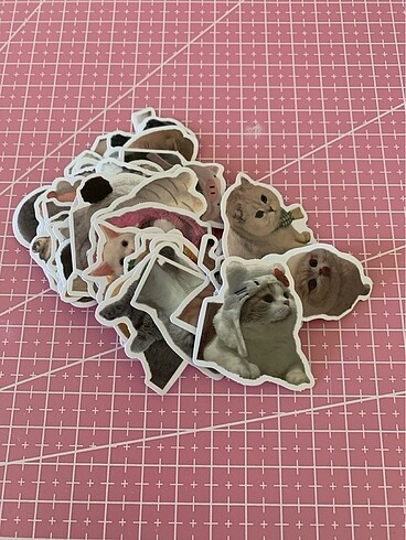 4 adet random sticker(kedili)