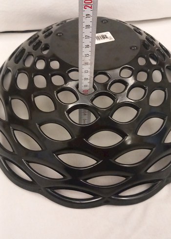 Siyah Delikli meyvelik - Görsel 4