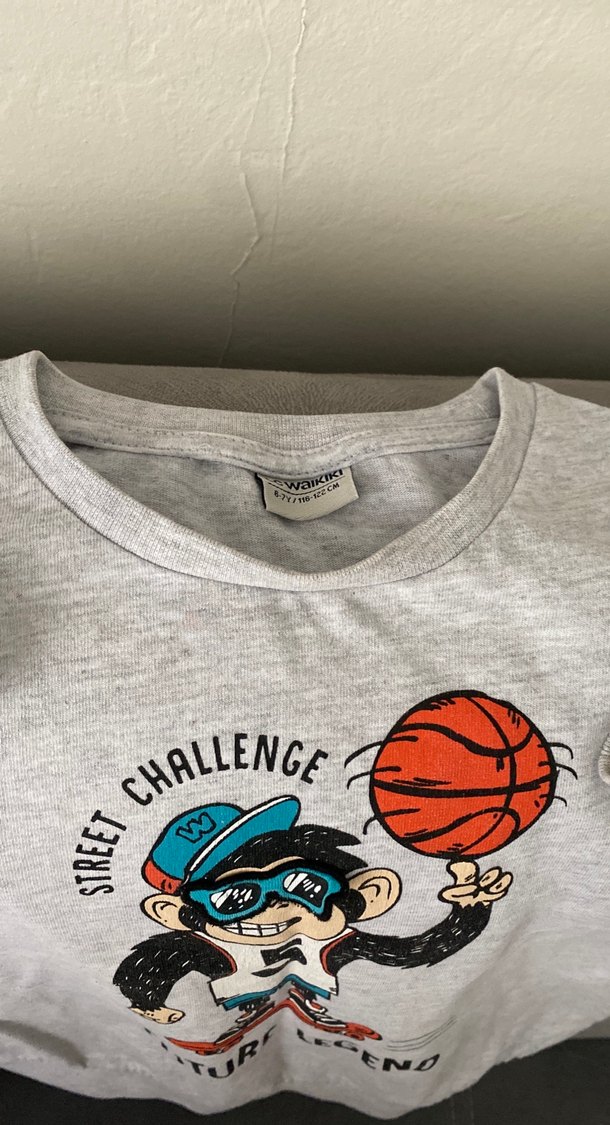 Erkek Çocuk Gri Uzun Kollu Baskılı Sweatshirt - Görsel 2