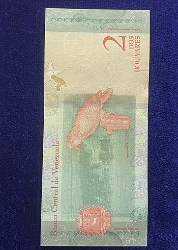 Venezuela 2 Bolivar Banknotu Mavi Tonlarda