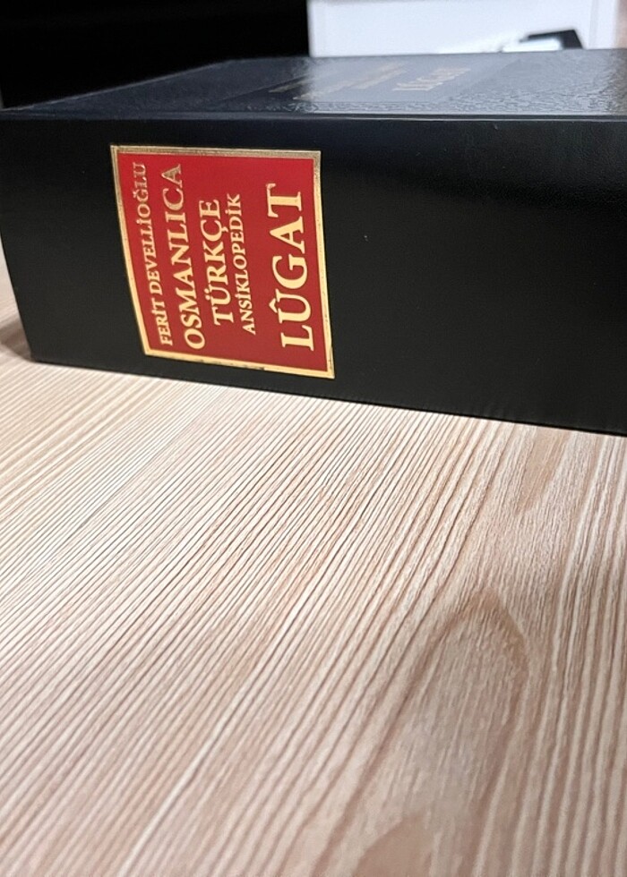 Ferit Devellioğlu - Görsel 2