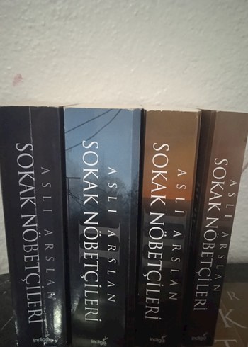 Aslı Arslan - Sokak Nöbetçileri Serisi