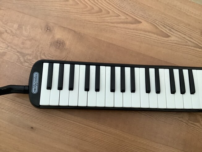  Beden Renk melodika