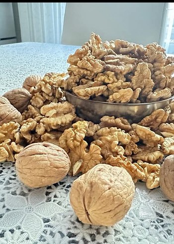 Büyük Boy Bej Klasik Tabak - Görsel 6