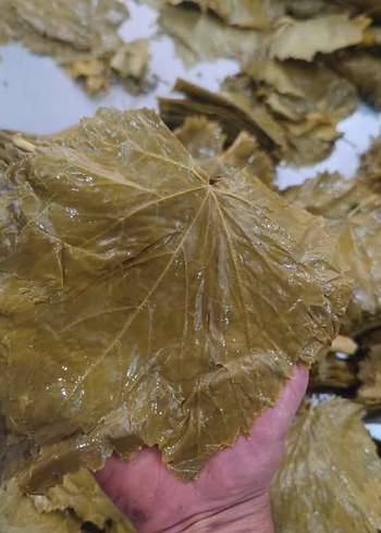 Sarı Kapaklı Yeşil Yapraklı Saklama Kapları - Görsel 4