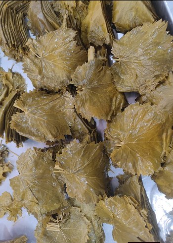 Sarı Kapaklı Yeşil Yapraklı Saklama Kapları - Görsel 5