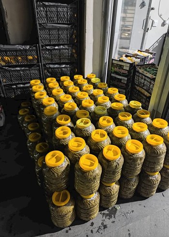 Sarı Kapaklı Yeşil Yapraklı Saklama Kapları - Görsel 3