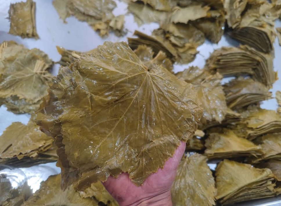 Sarı Kapaklı Yeşil Yapraklı Saklama Kapları - Görsel 4