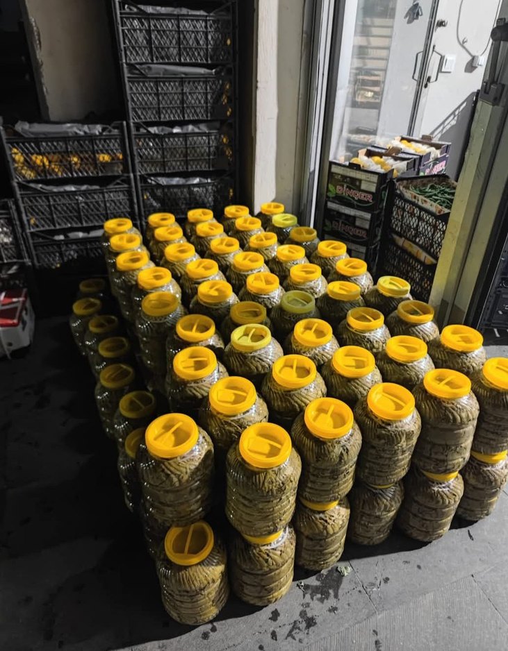 Sarı Kapaklı Yeşil Yapraklı Saklama Kapları - Görsel 3