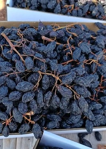Ev Yapımı Kurutulmuş kuru üzüm - Görsel 5