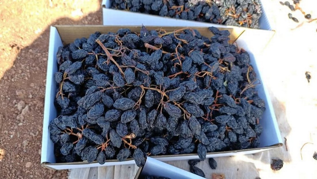 Ev Yapımı Kurutulmuş kuru üzüm - Görsel 5