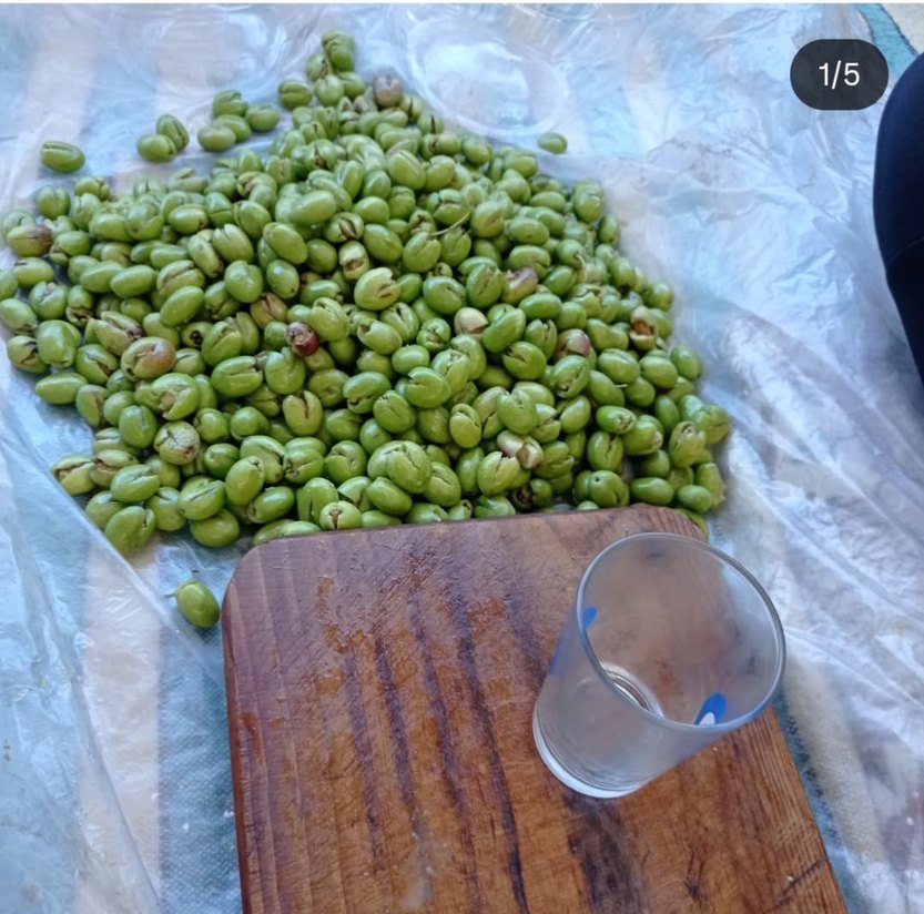 Renkli Haki Gıda Saklama Kabı - Görsel 3