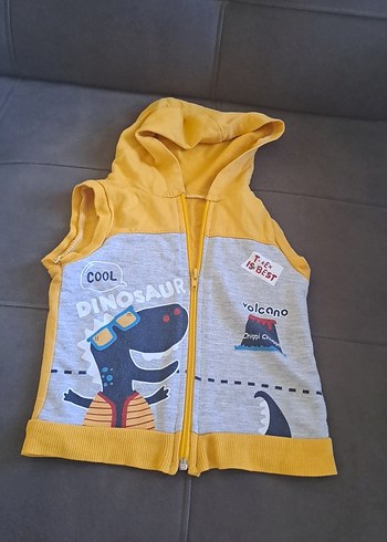 LC Waikiki Kapüşonlu Sarı Gri Erkek Çocuk Fermuarlı Yelek