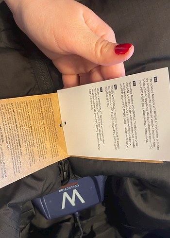 NORTH FACE ERKEK KAZ TÜYÜ MONT - Görsel 12