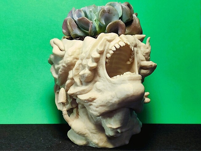 The Last Of Us Cordiseps Saksı - Görsel 4