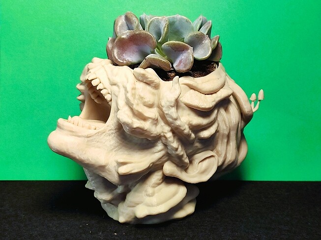 The Last Of Us Cordiseps Saksı - Görsel 5