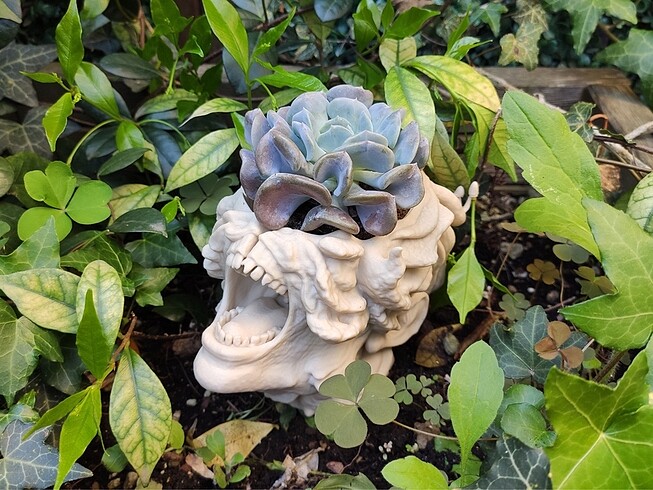 The Last Of Us Cordiseps Saksı - Görsel 10