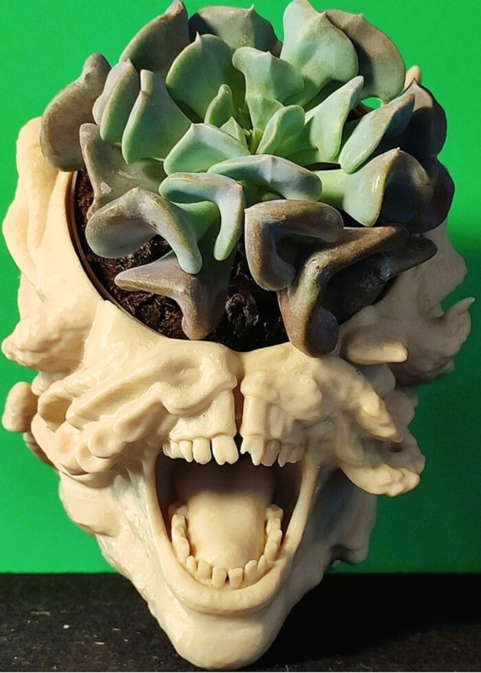 The Last Of Us Cordiseps Saksı - Görsel 2