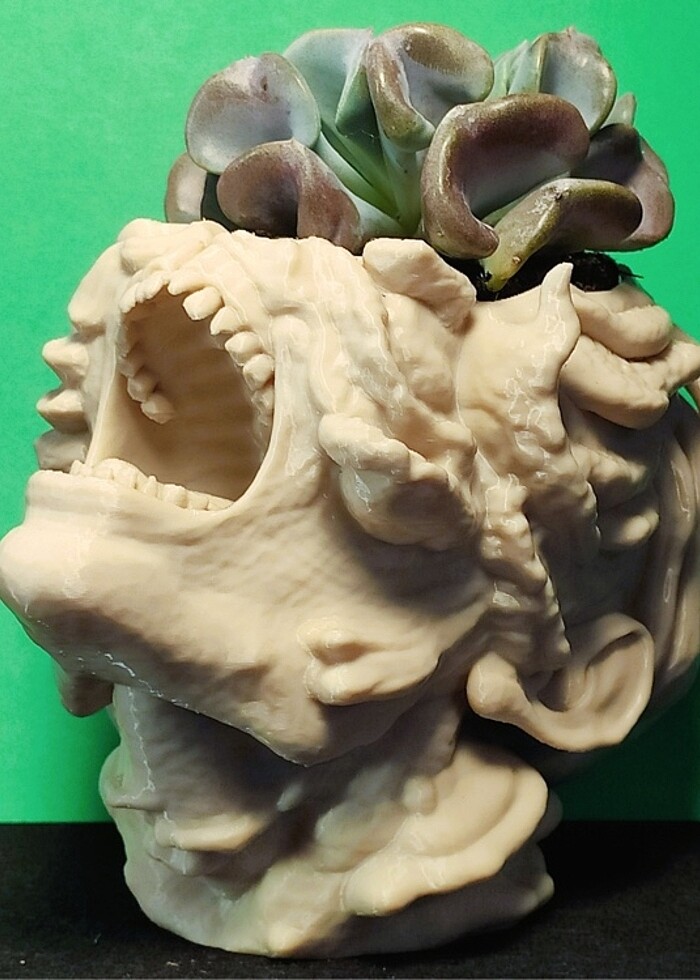 The Last Of Us Cordiseps Saksı - Görsel 3