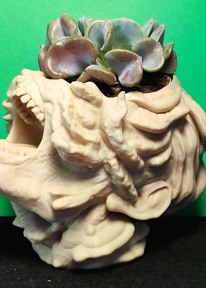 The Last Of Us Cordiseps Saksı - Görsel 5