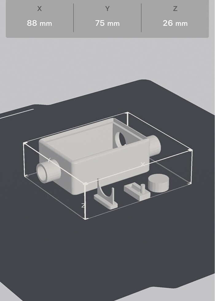 Karınca Outworld - Görsel 5