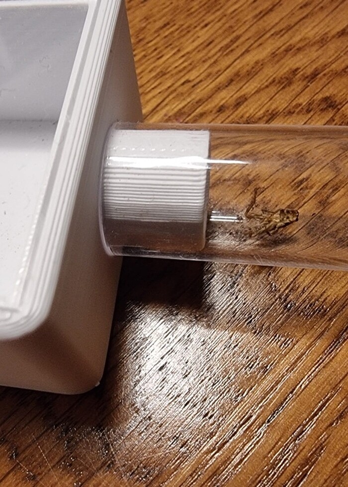 Karınca Outworld - Görsel 4