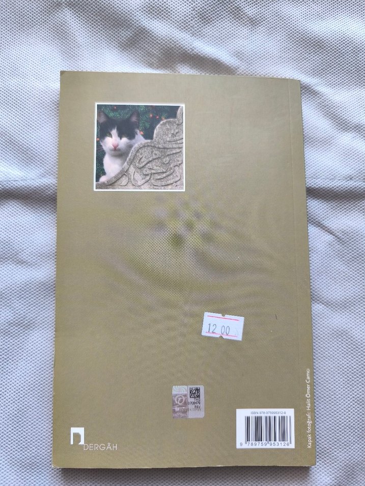 Yoksulluk İçimizde - Mustafa Kutlu - Görsel 2