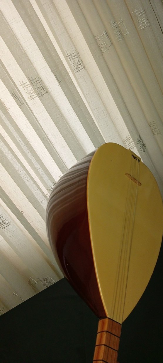 saz_bağlama - Görsel 2