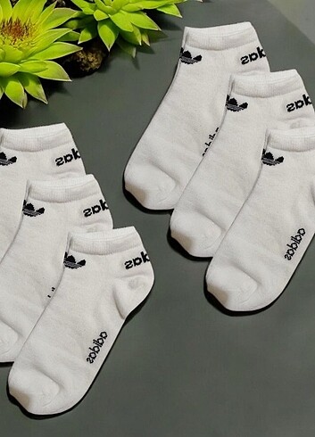 6lı Unisex Patik Çorap Seti 