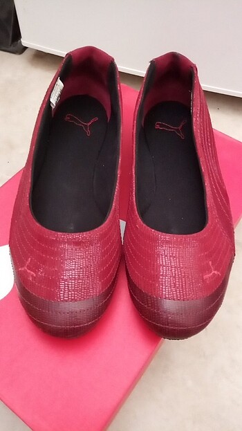 Puma babet