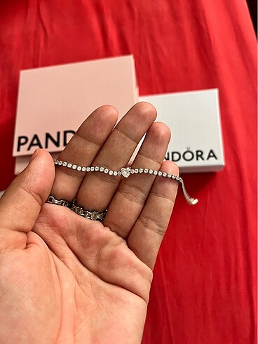 Pandora pandora