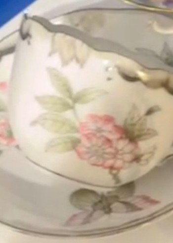 HEREND VİCTORİA Çiçek Desenli İnce Porselen Fincan - Görsel 5