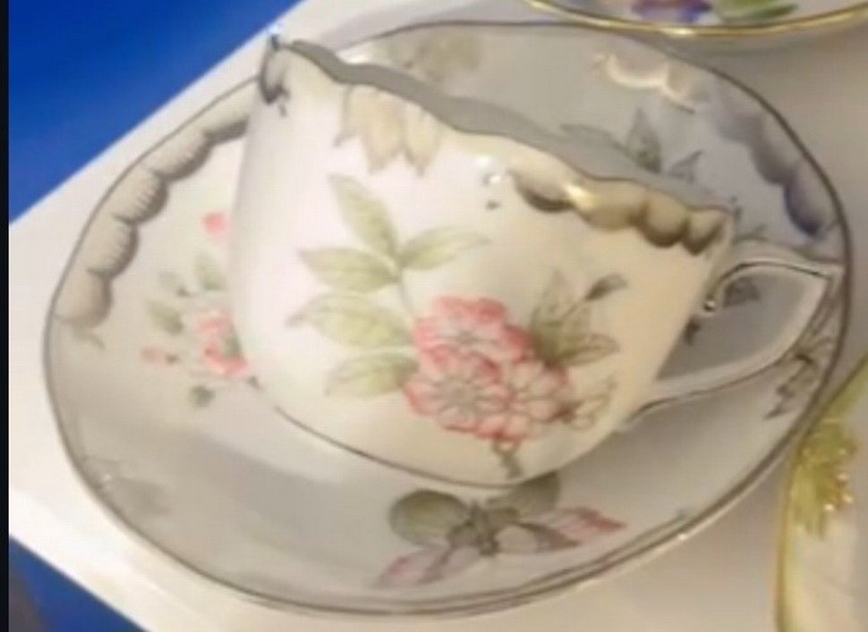 HEREND VİCTORİA Çiçek Desenli İnce Porselen Fincan - Görsel 5