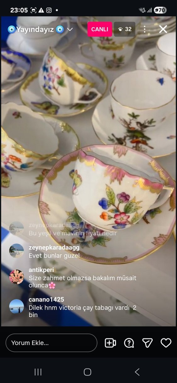 HEREND VİCTORİA Çiçek Desenli İnce Porselen Fincan - Görsel 3