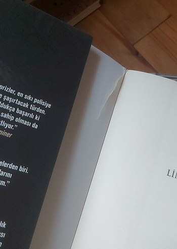 Beden Renk LİNÇ - Lotte ve Søren Hammer Roman