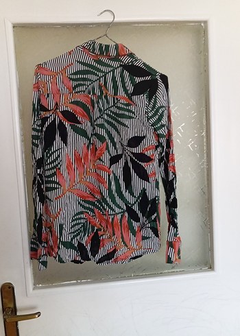 s Beden çeşitli Renk Zebra Desenli Uzun Kollu V Yaka Kadın Gömlek
