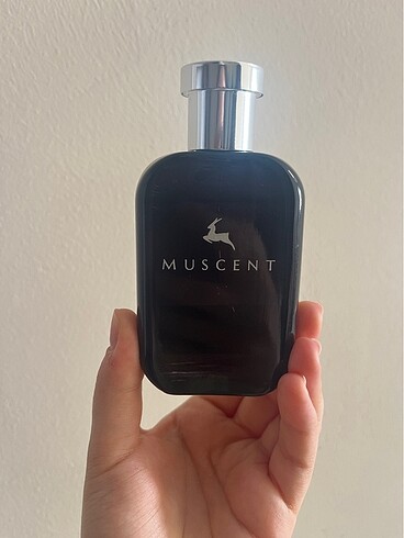 Muscent F390 faame
