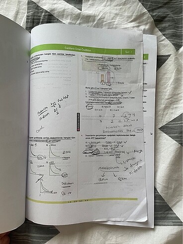  PEGEM YAYINI TYT BİYOLOJİ YAPRAK TEST