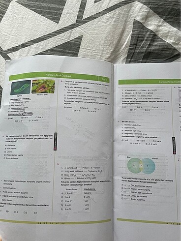  Beden PEGEM YAYINI TYT BİYOLOJİ YAPRAK TEST