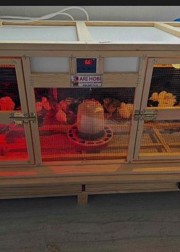 Beden Renk Evonest marka tam otomatik Kuluçka Makinesi ve Büyütme kafesi