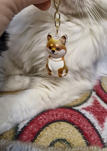 DOSTUNUZUN TÜYLERİNİ YANINIZDAN AYIRMAYIN - Görsel 4