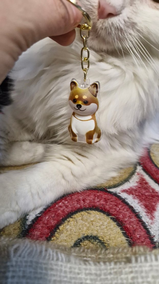 DOSTUNUZUN TÜYLERİNİ YANINIZDAN AYIRMAYIN - Görsel 4