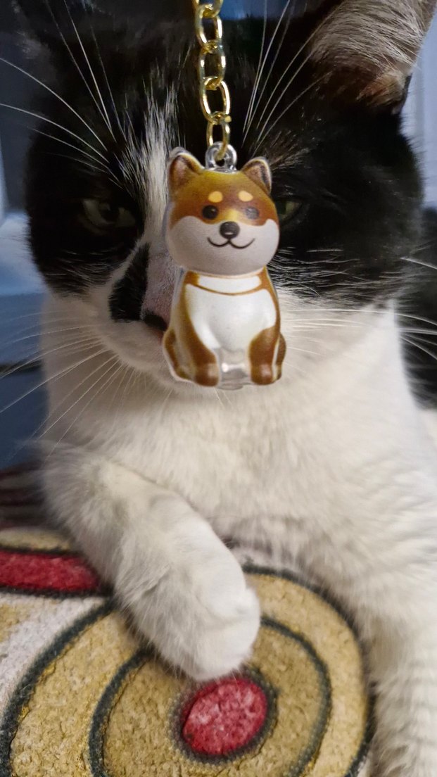 DOSTUNUZUN TÜYLERİNİ YANINIZDAN AYIRMAYIN - Görsel 2