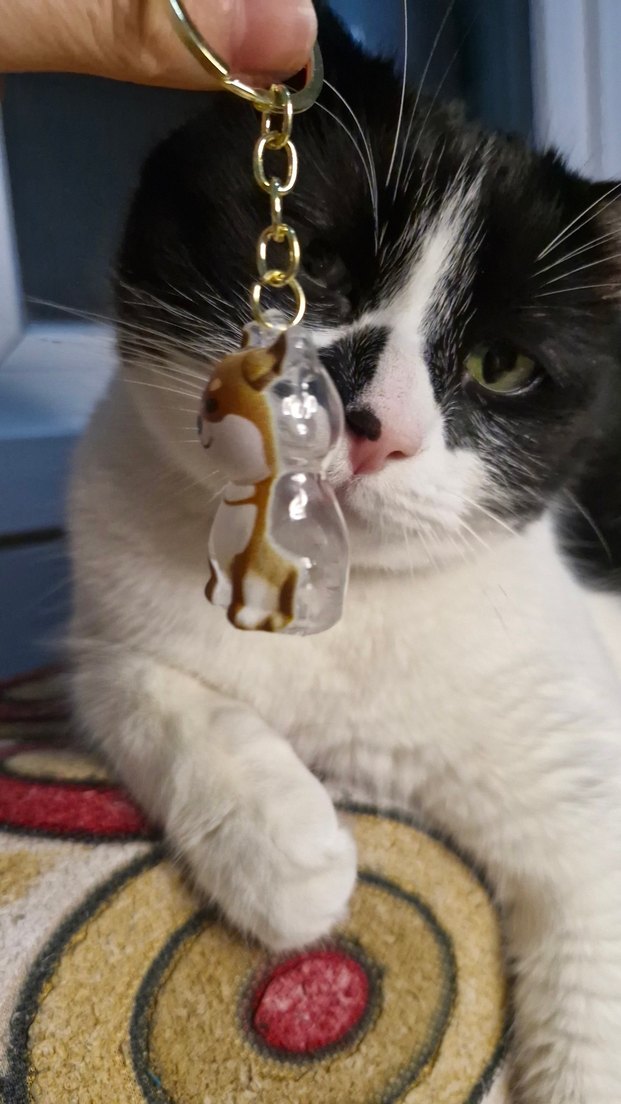 DOSTUNUZUN TÜYLERİNİ YANINIZDAN AYIRMAYIN - Görsel 3