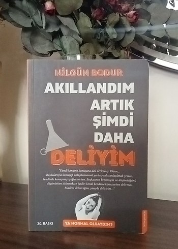 Akıllandım Artık Şimdi Daha Deliyim - Nilgün Bodur