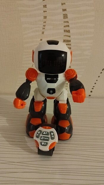 Robot