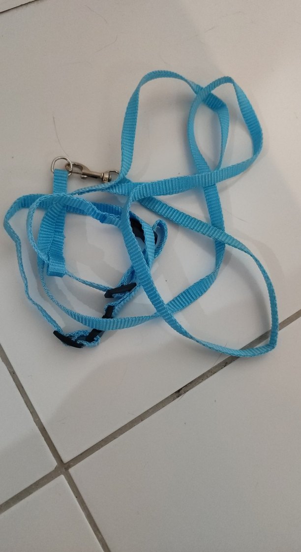 Renkli Kedi Göğüs Tasması Seti - Görsel 2